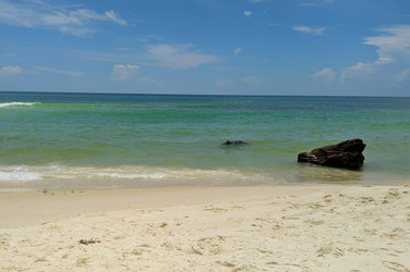 Snorkeling in Panama City