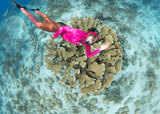 Snorkeling: A Complete Guide to Exploring the Underwater World