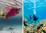 Snorkeling vs Scuba Diving: How Are They Different?